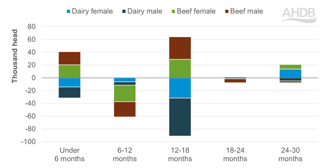 Chart showing year-on-year change in the Irish cattle population at 1 April 2024